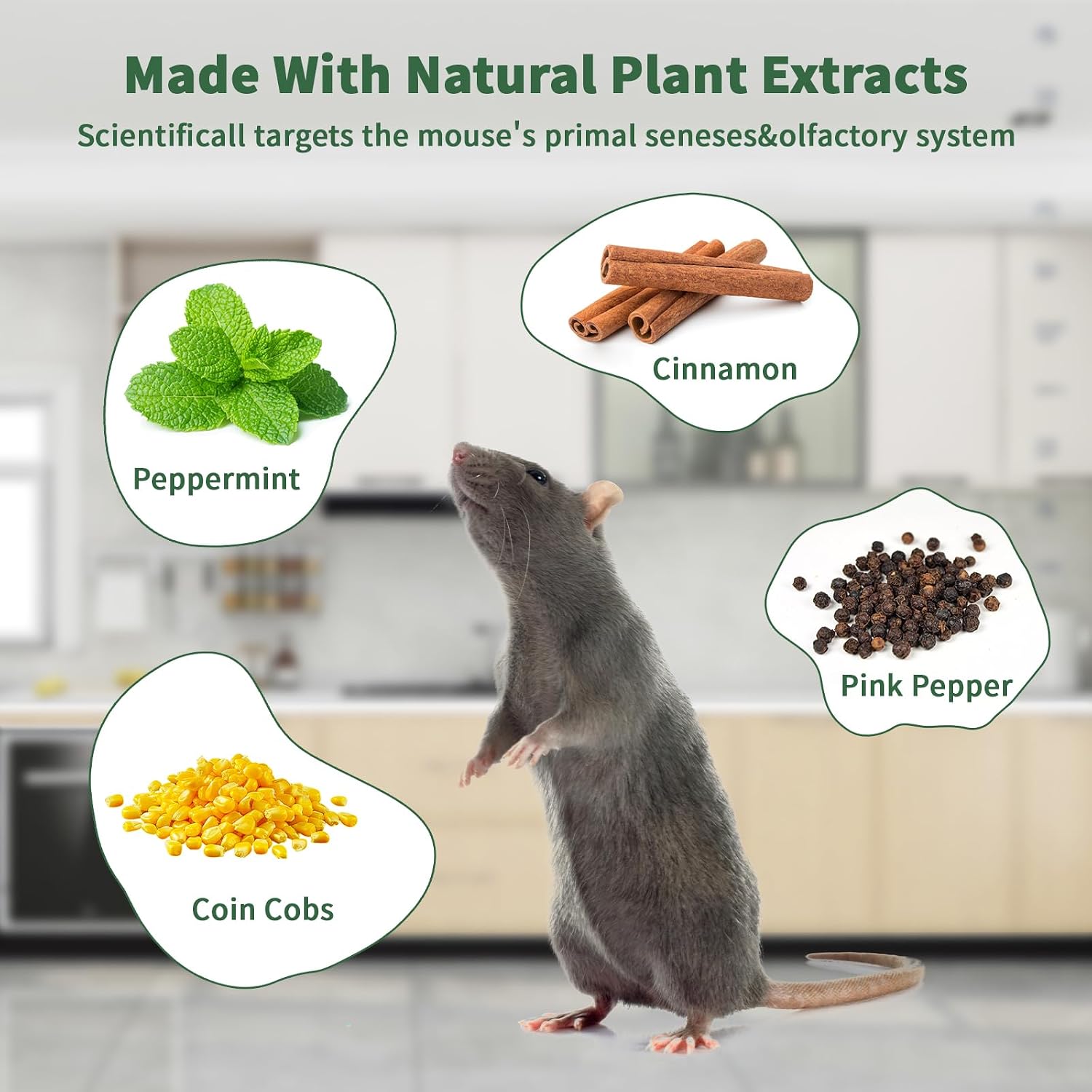 Thumbnail 1 de Peppermint Oil Rodent Repellent, 24-Pack