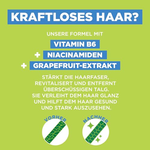 Detalle 2 de Garnier Fructis Kraft und Glanz Shampoo 1000 ml