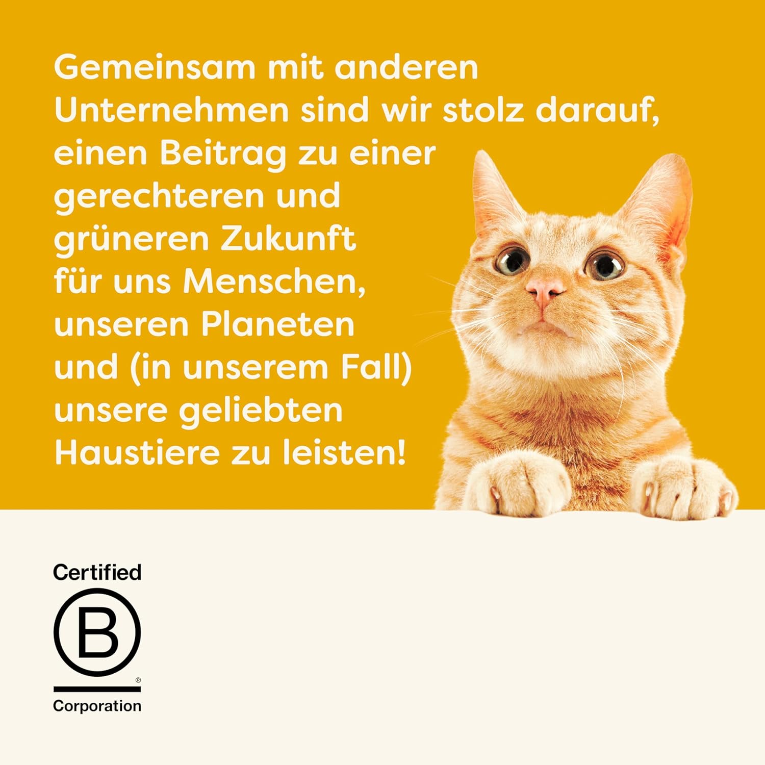 Detalle de Applaws Grain-Free Creamy Lickable Chicken Snack für Katzen & Kätzchen – 32 Beutel à 15 g