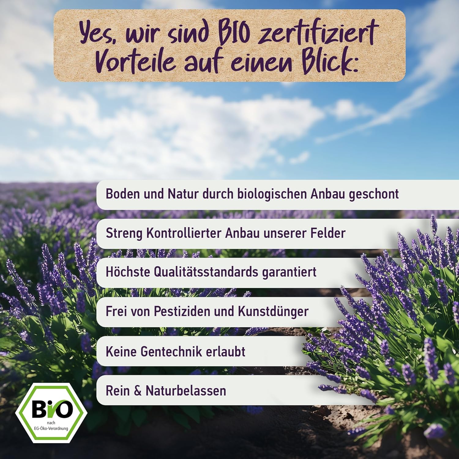 Thumbnail 6 de BIO Lavendelöl Ätherisches Öl – 100% naturrein, BIO-zertifiziert, Lavendula Angustifolia