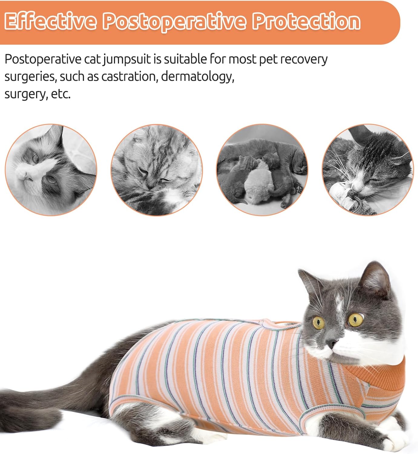 Thumbnail 2 de CITÉTOILE Katzenbody XS 🐾