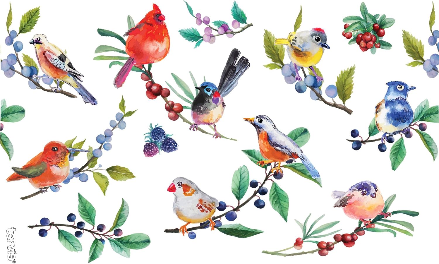 Thumbnail 1 de Tervis Watercolor Songbirds Double-Wall Insulated Tumbler, 16 oz