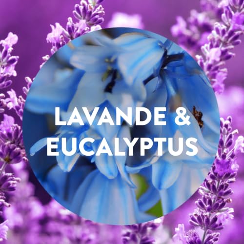 Detalle de Air Wick Diffuseur d’huiles Essentielles Brume Parfumée+ 2 Recharges Lavande et Eucalyptus