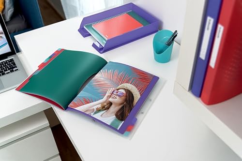 Detalle de Esselte Trieur A4 à 12 Compartiments Colour'Breeze Texturé – Multicolore