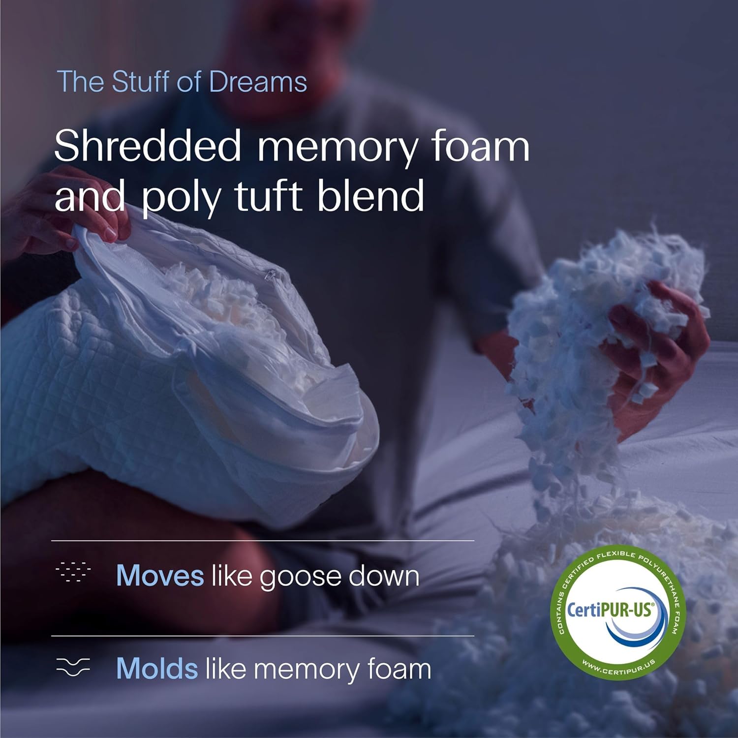 Thumbnail 1 de DreamyBlue Signature Pillow Adjustable Loft, Queen