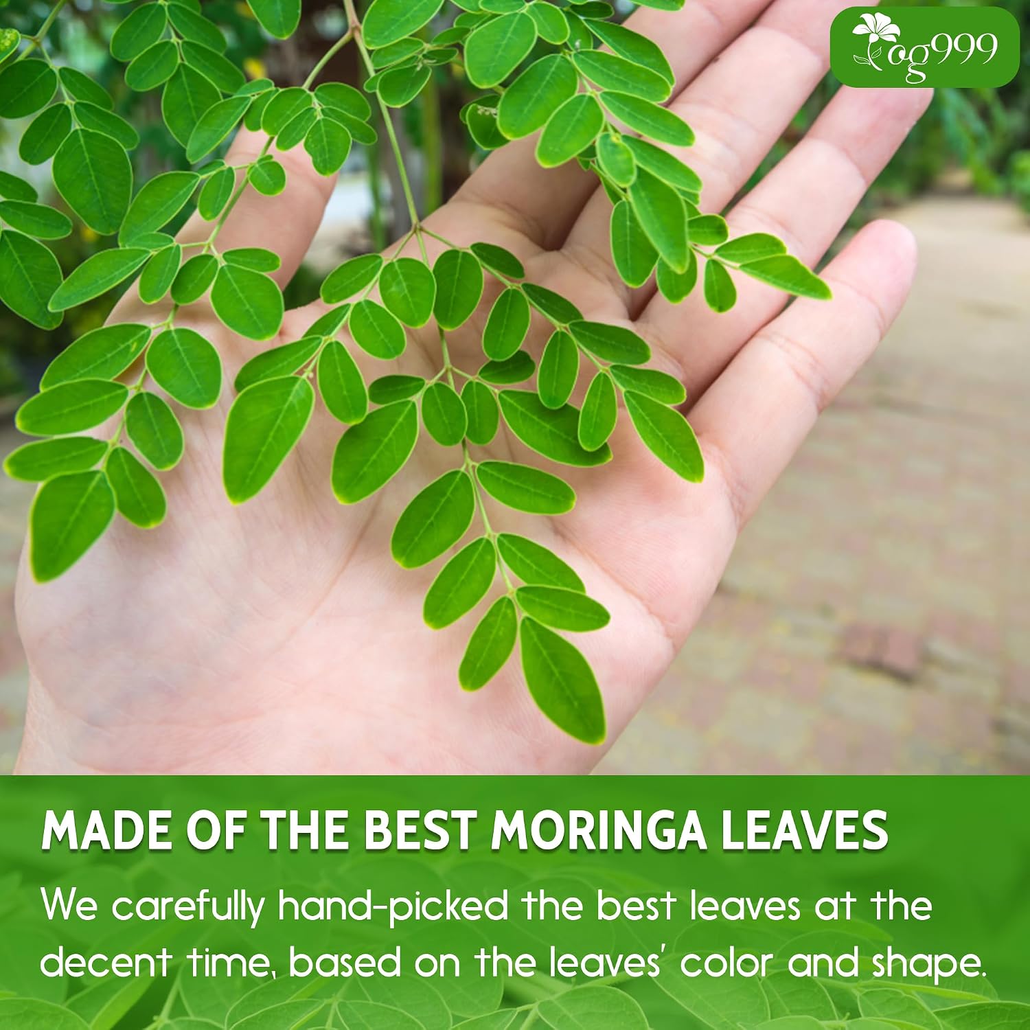 Detalle 1 de TOG999 Moringa Leaf Powder, 8 oz, Vegan, Caffeine-Free, No Additives