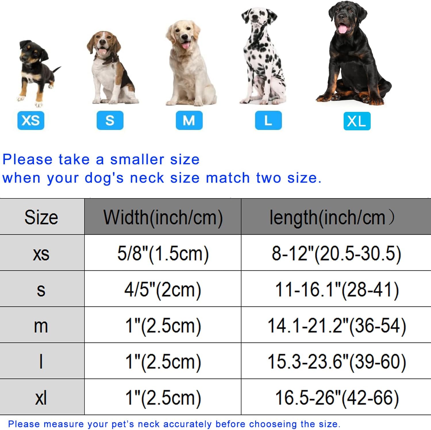 Detalle de DOGWONG Dog Collar, Small