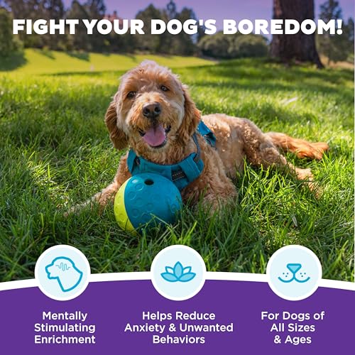 Detalle 2 de Nina Ottosson Interactive Dog Toys - Dog Puzzle Toys for Beginners, Level 1 (Outward Hound)
