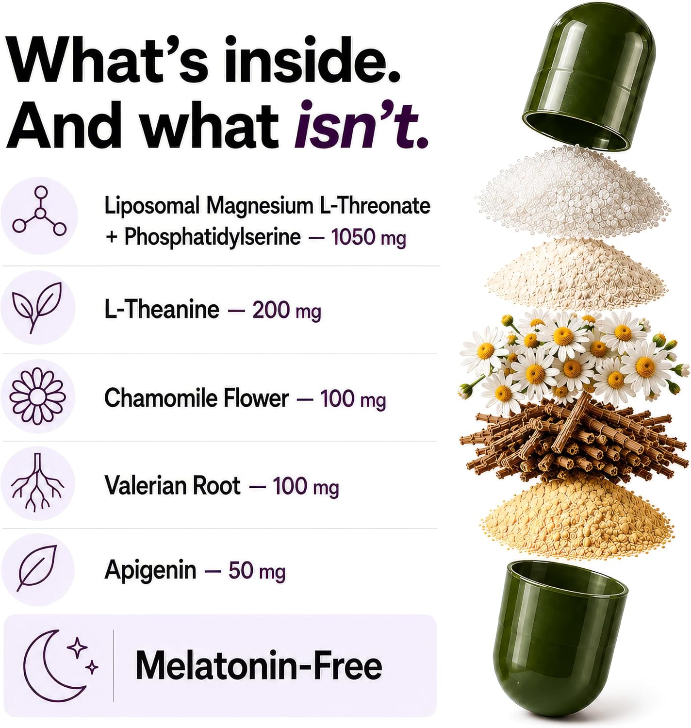 Thumbnail 4 de Plus+Ultra Liposomal Magnesium L-Threonate Supplement, Melatonin-Free Blend