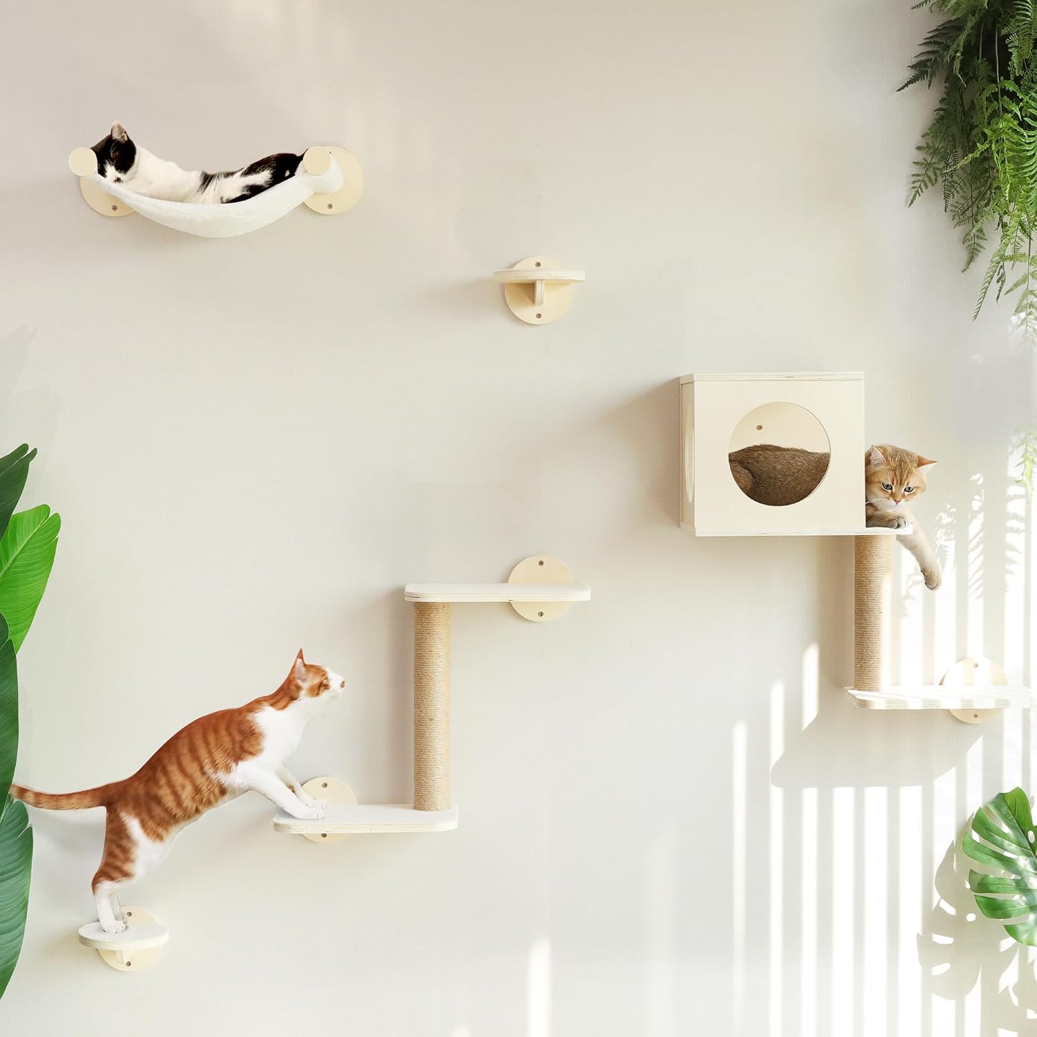 Detalle 2 de FUKUMARU Cat Wall Shelves 5-piece cat climber set 🐱