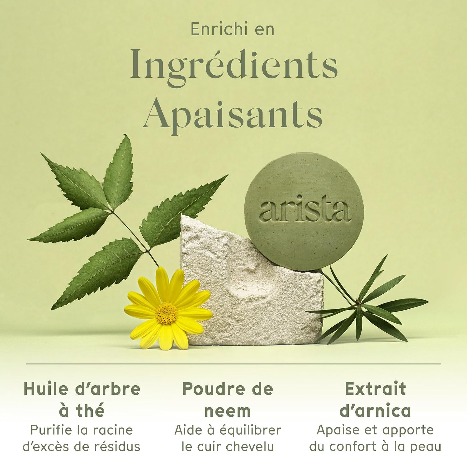 Detalle de Arista Shampoing solide antipelliculaire Tea Tree, Neem & Arnica (sans sulfate, vegan)