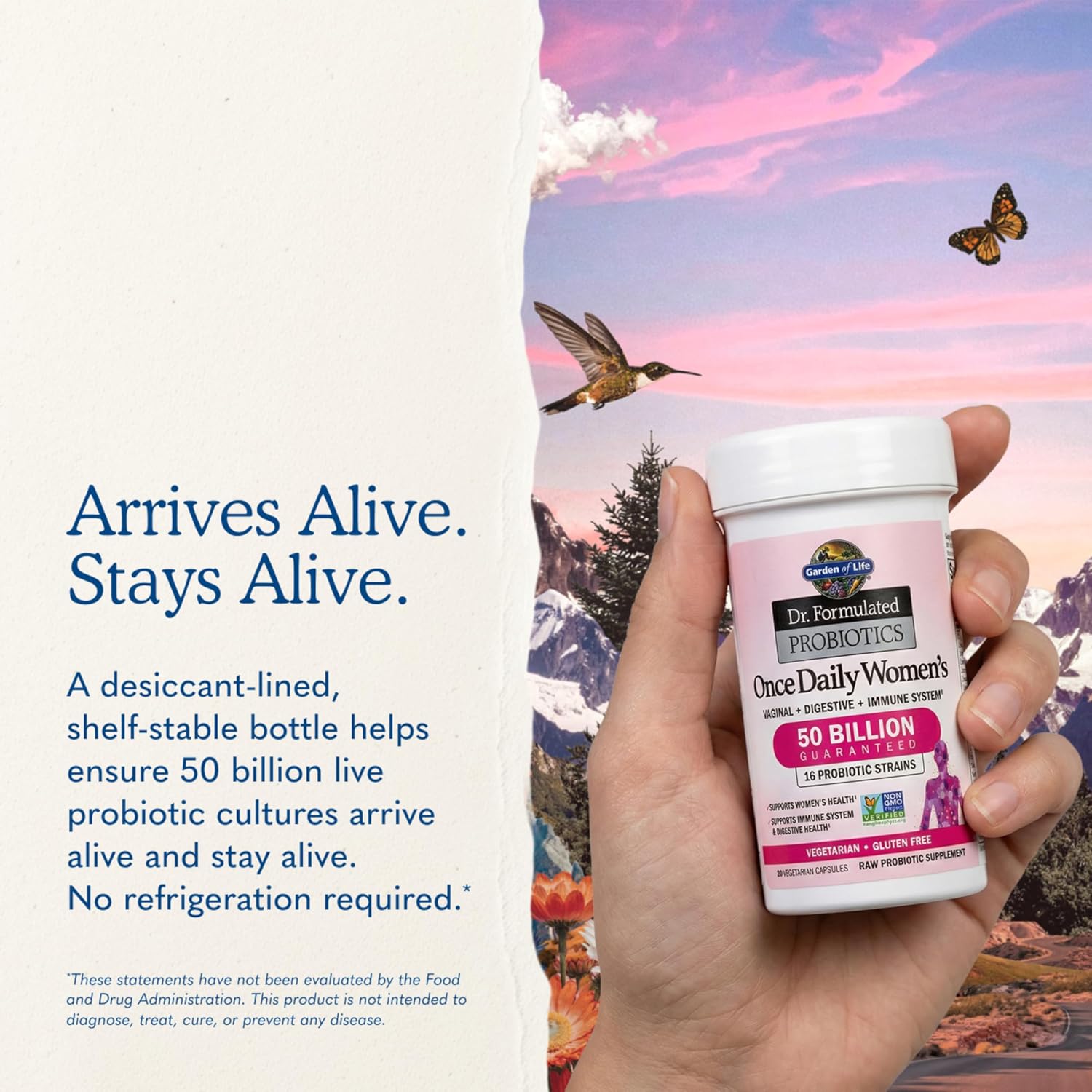 Thumbnail 6 de Garden of Life Once Daily Dr. Formulated Probiotics for Women 50 Billion CFU – 16 Strains