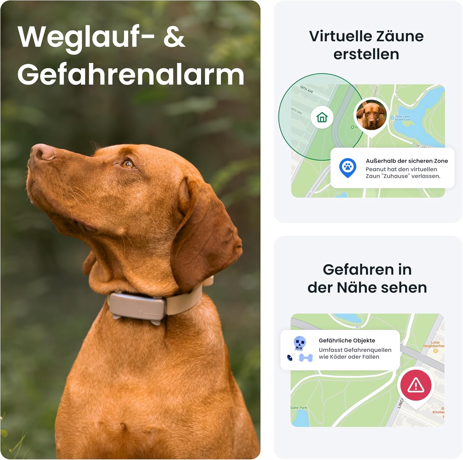 Detalle 2 de Tractive 2025 Edition GPS Tracker Hund