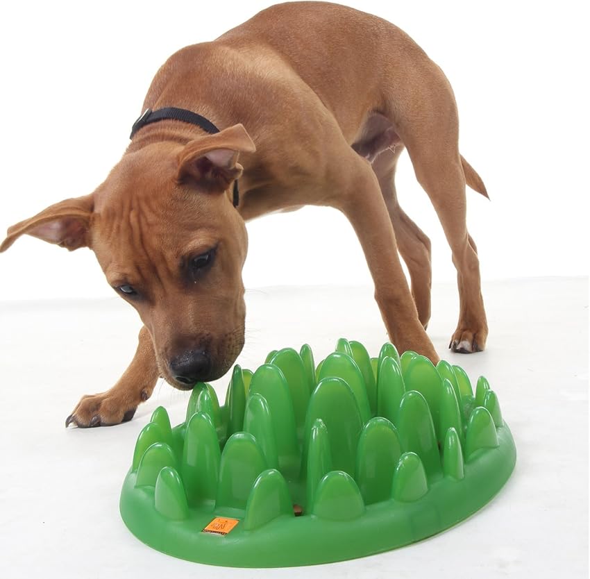 Thumbnail 3 de GREEN Comedero Interactivo L para perros