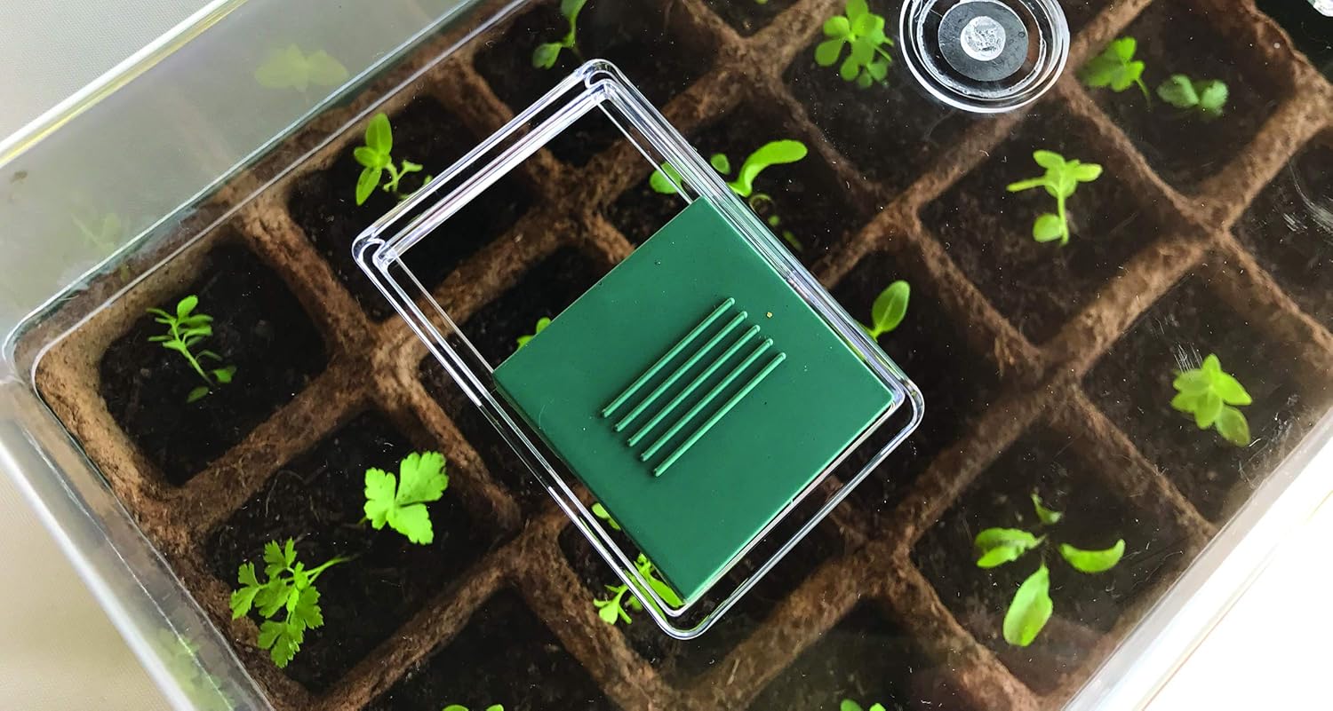 Detalle 2 de Boîte à germer Biotop B2015B vert 38 cm