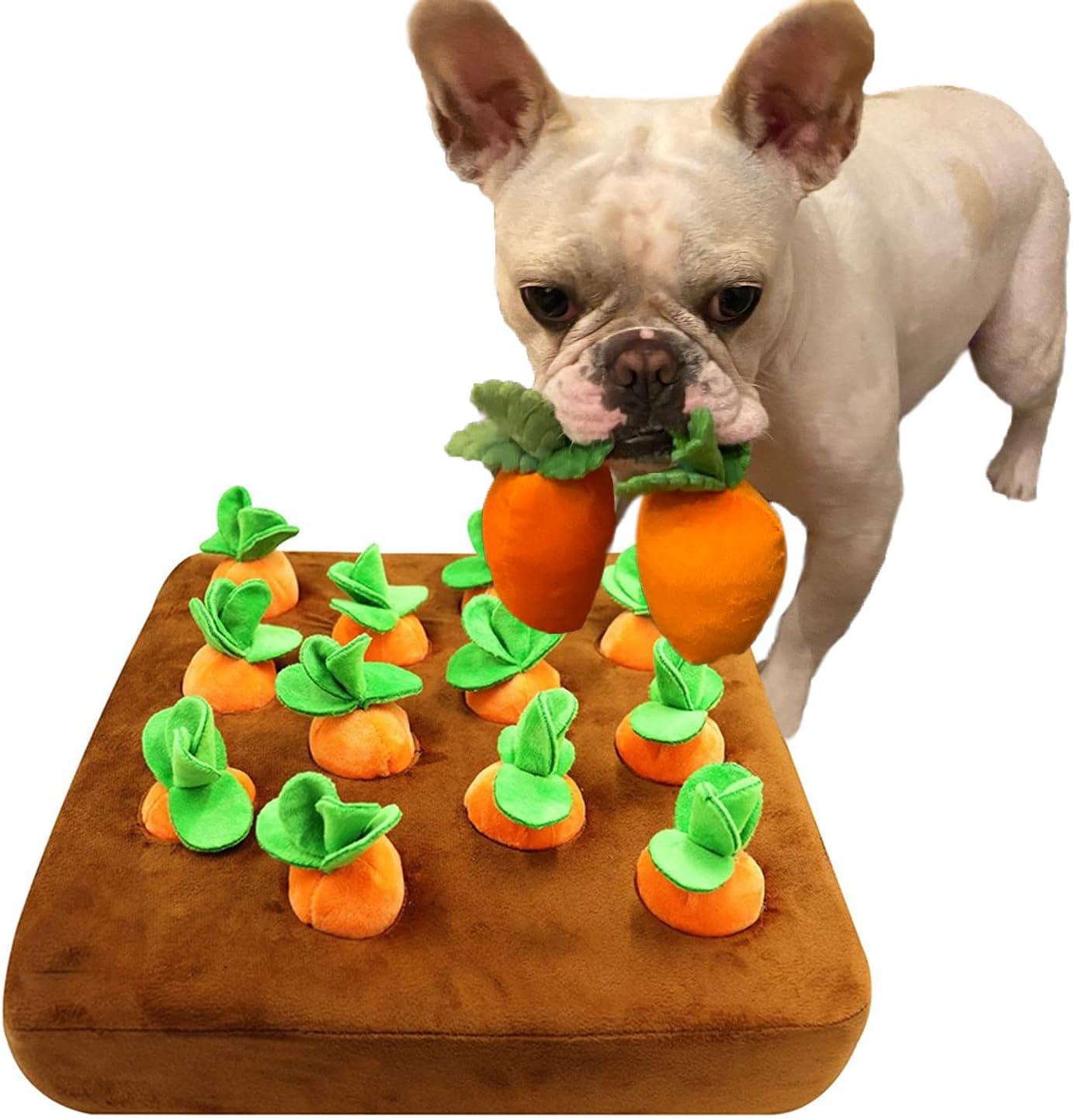 Detalle de Celawork Intelligenzspielzeug Hund Schnüffelteppich