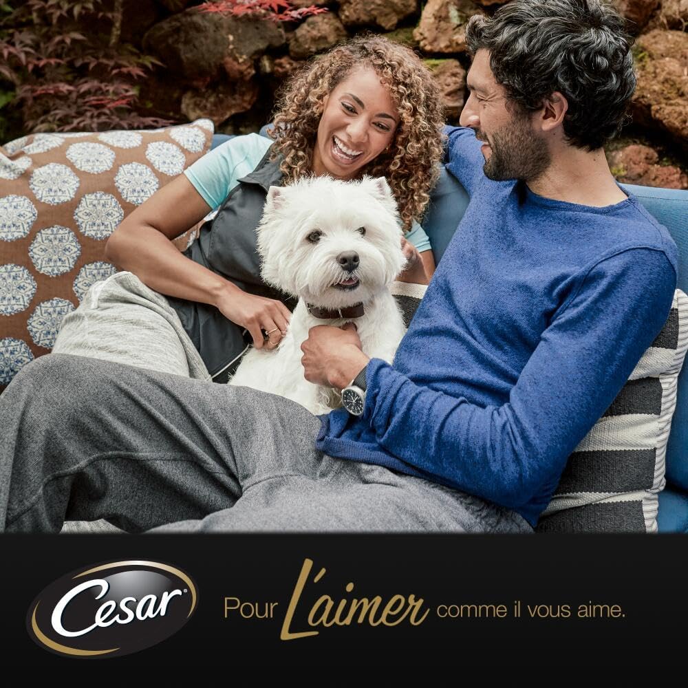 Detalle de Cesar Les Inspirations du Jardin – Barquettes de Veau en terrine pour Chien Adulte (20 barquettes de 300 g)