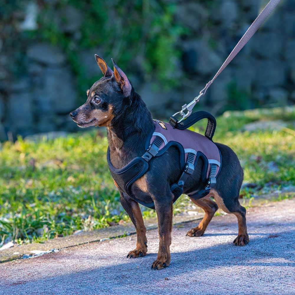 Detalle de Ferplast Ergotrekking Extra Small adjustable harness for trekking ๐