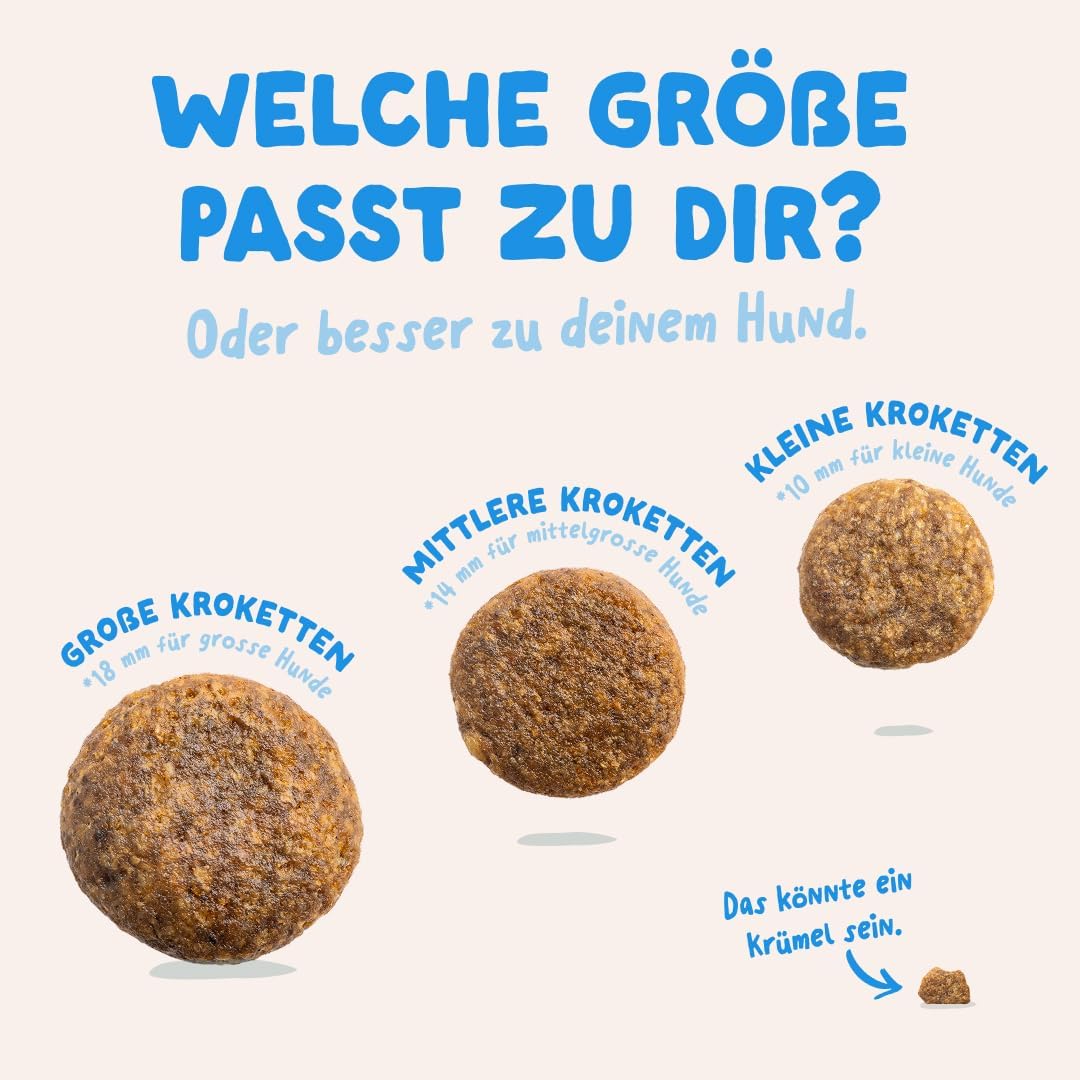 Thumbnail 4 de Edgard & Cooper Hundefutter trocken Medium Adult mit frischem Lachs, 7 kg – hypoallergene Rezeptur ohne Fischmehl