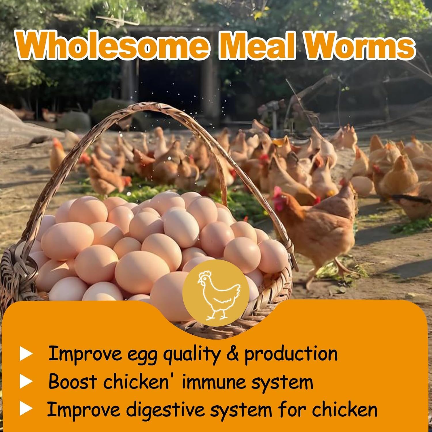 Detalle de HATORTOP 10LB Dried Mealworms for Chickens and Wild Birds, Non-GMO