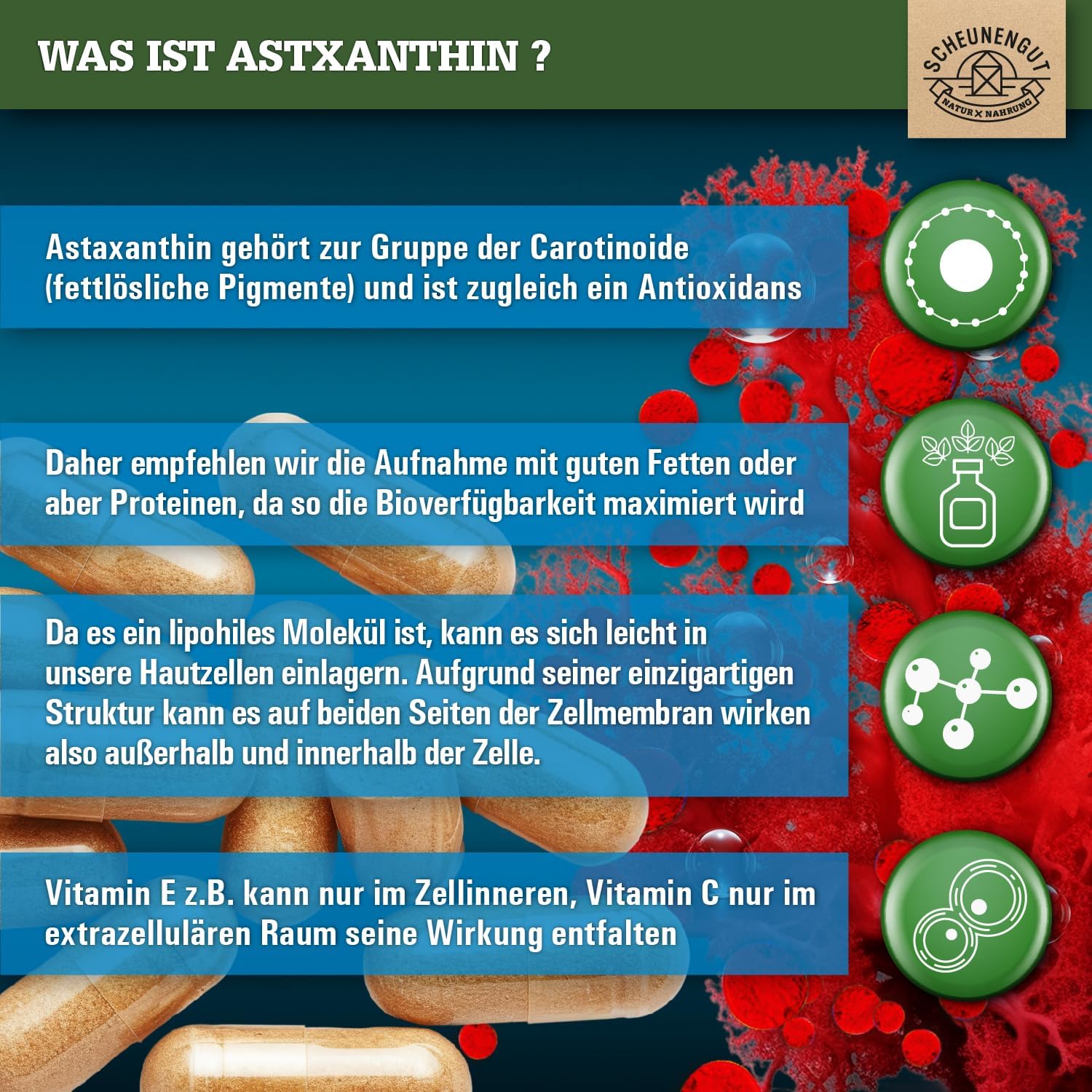 Detalle de SCHEUNENGUT Astaxanthin 12mg