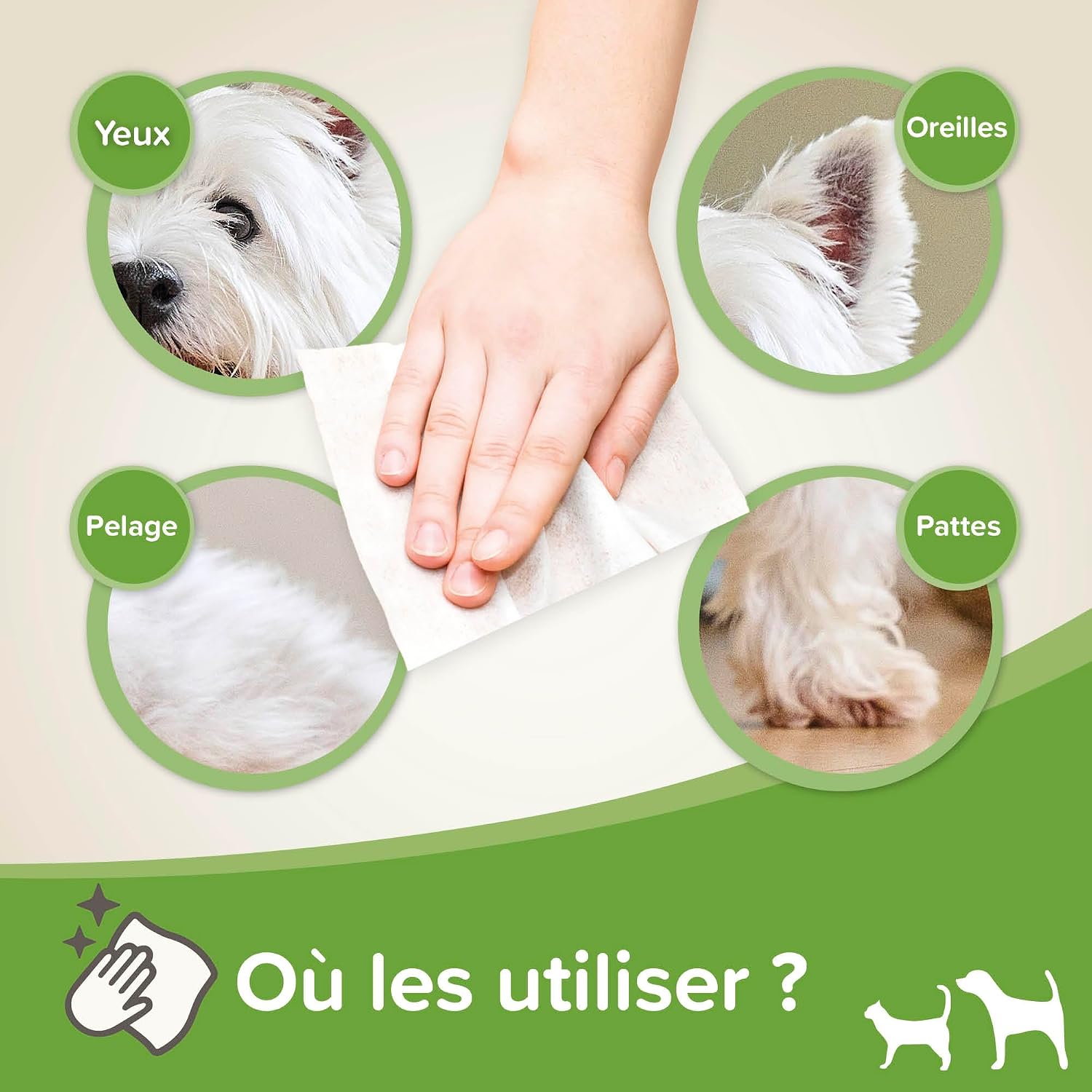 Detalle de Beaphar Lingettes Nettoyantes Yeux, Oreilles, Pattes et Pelage pour Chien etChat – Calendula apaisante – 100 lingettes