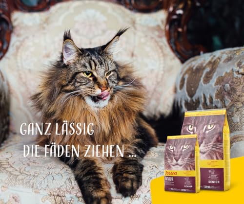 Thumbnail 6 de JOSERA Senior (2 kg) – Trockenfutter für ältere Katzen ohne Weizen