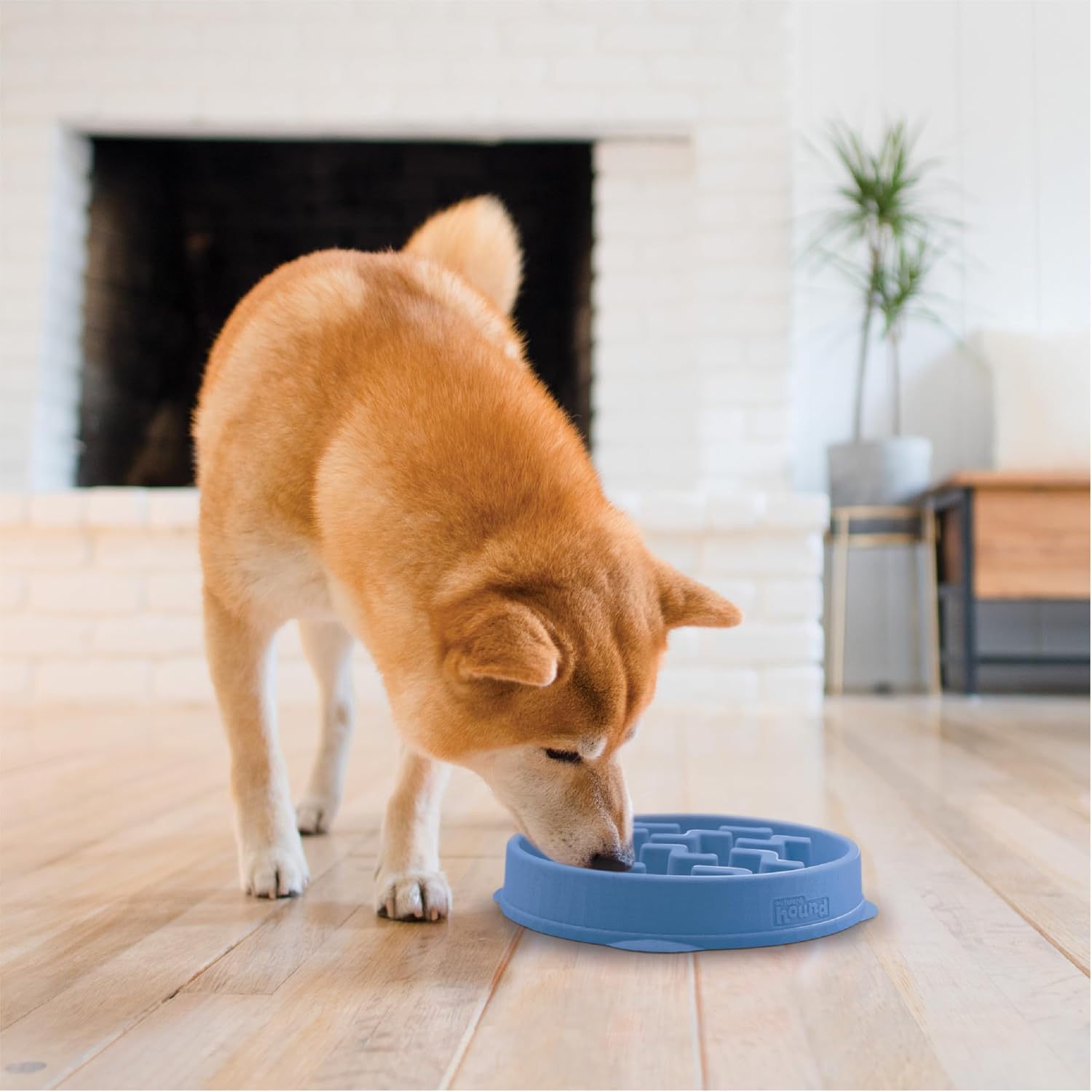 Thumbnail 5 de Outward Hound Slow Feeder Bowl Medium