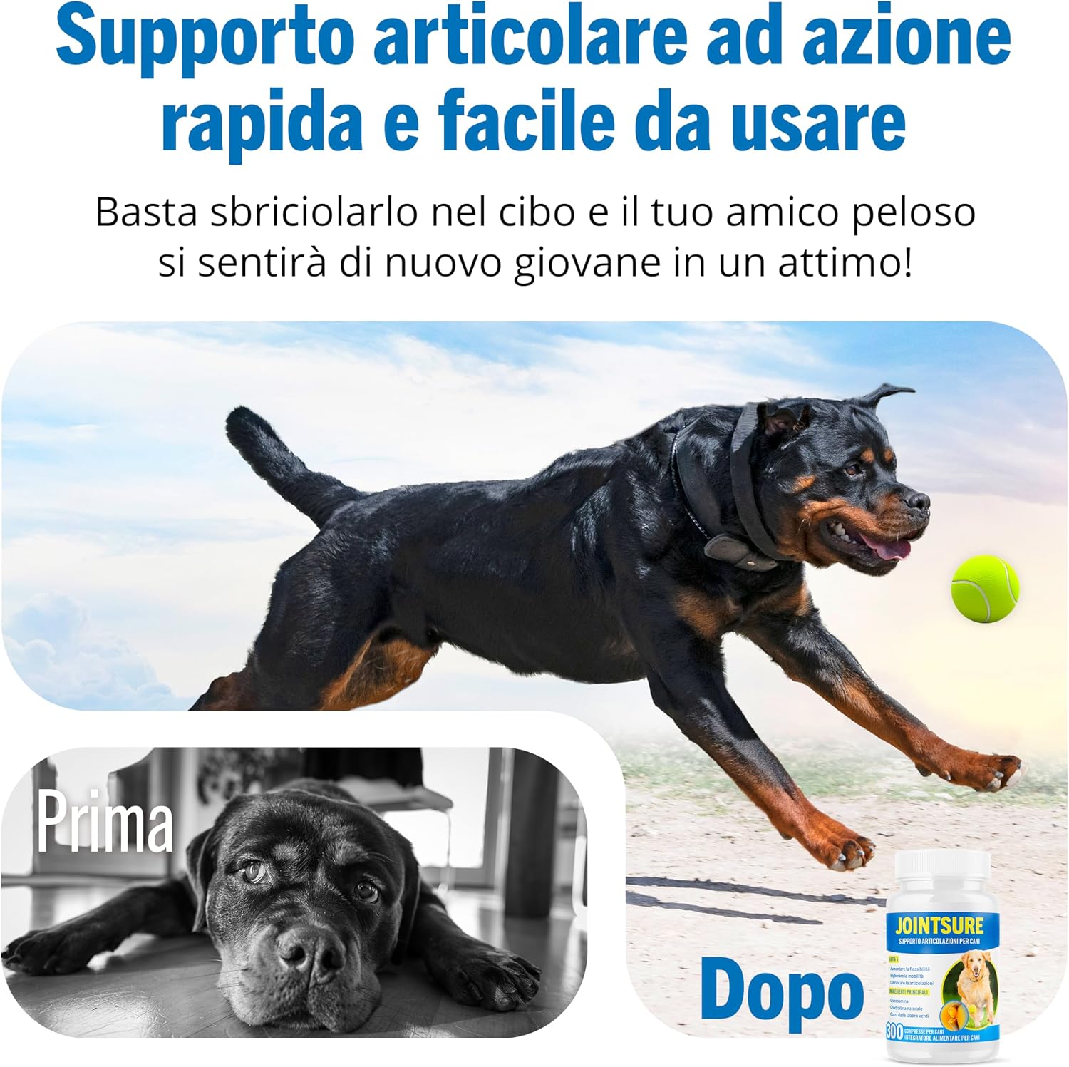 Detalle 2 de JOINTSURE Integratori per Cani 120 compresse