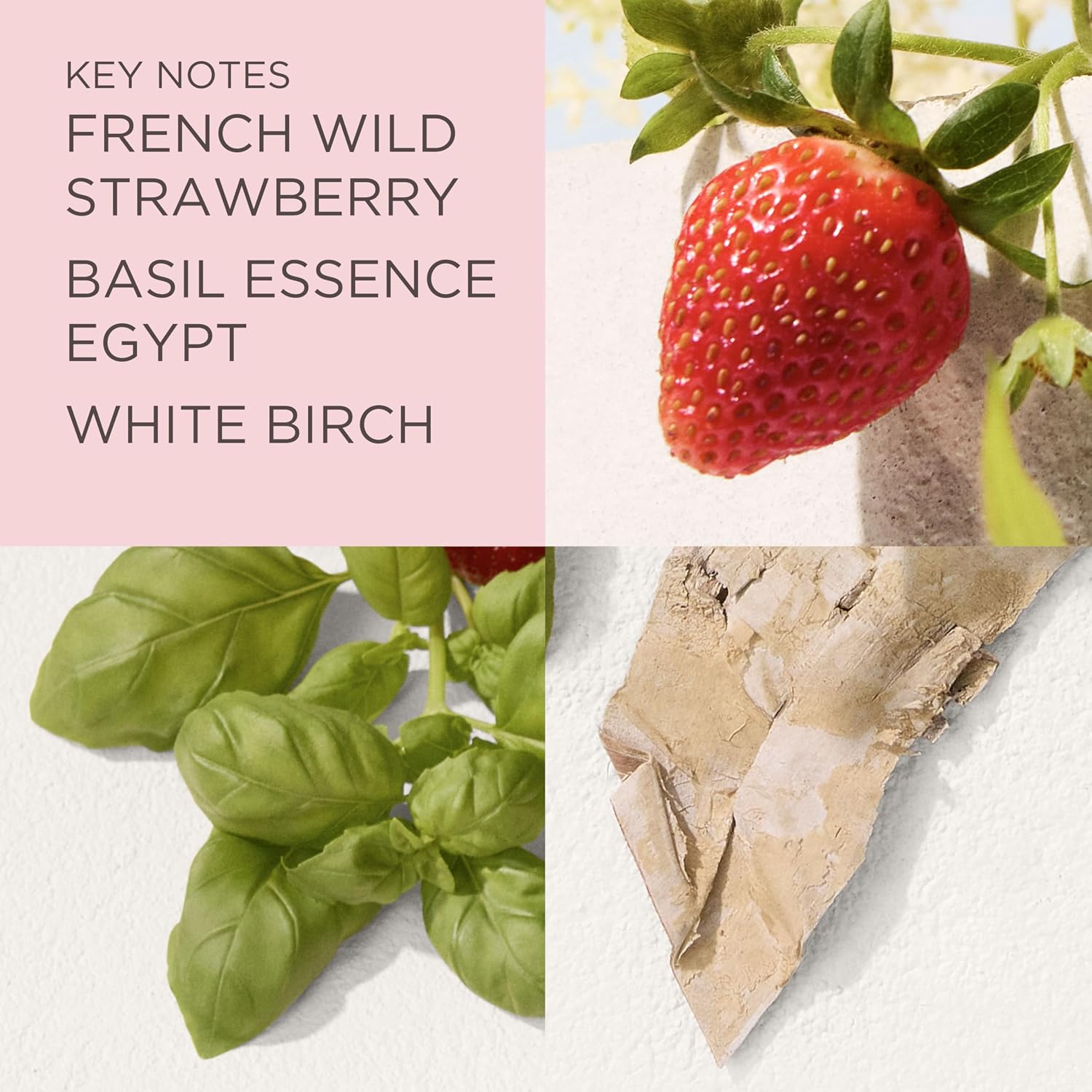Thumbnail 4 de Elizabeth Arden Green Tea Strawberry Basil Honey Drops Body Cream – Silky Hydration for All Skin Types