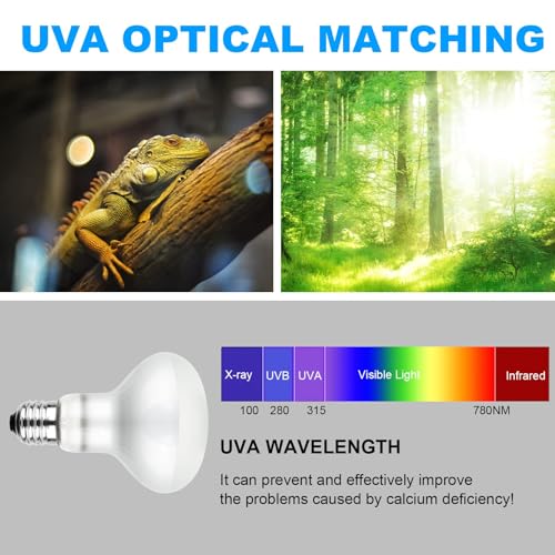 Thumbnail 2 de Adiwo Lampe Chauffante 50W pour tortue