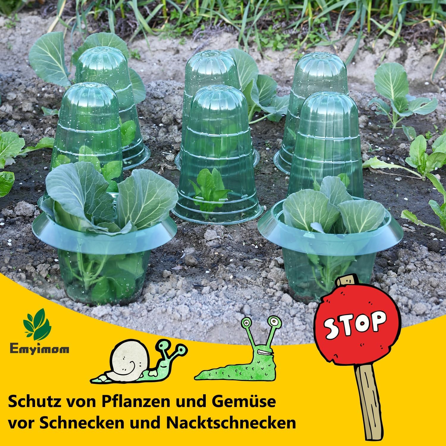 Thumbnail 2 de Emyimom Upgrade Schneckenkragen & Pflanzenhut – Schneckenschutzring mit Pflanzenabdeckung, 15 Stück