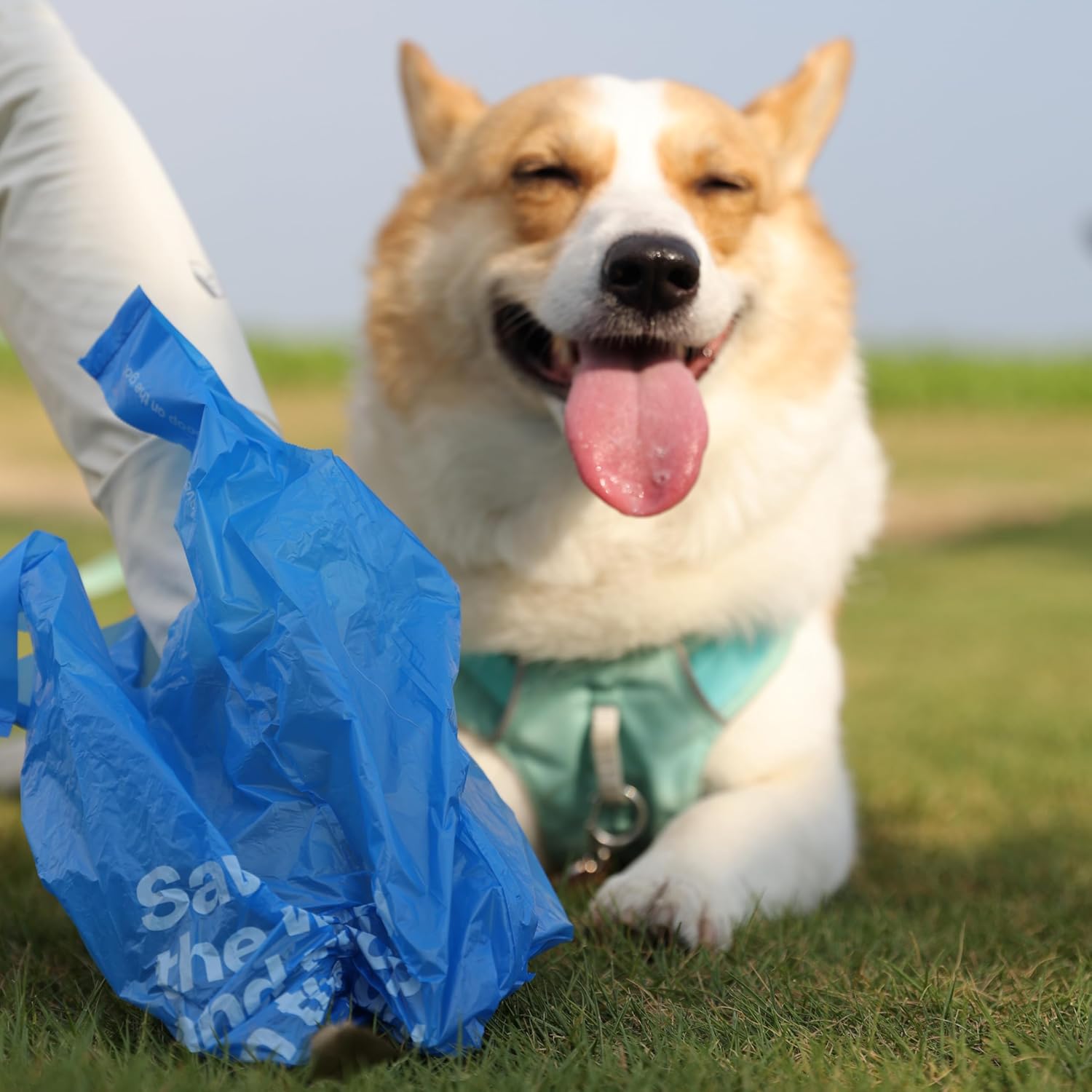 Thumbnail 6 de Hundekotbeutel Biologisch Abbaubar mit Henkel und Spender – 108 Stück, Iris Duft, 50% erneuerbare Ressourcen