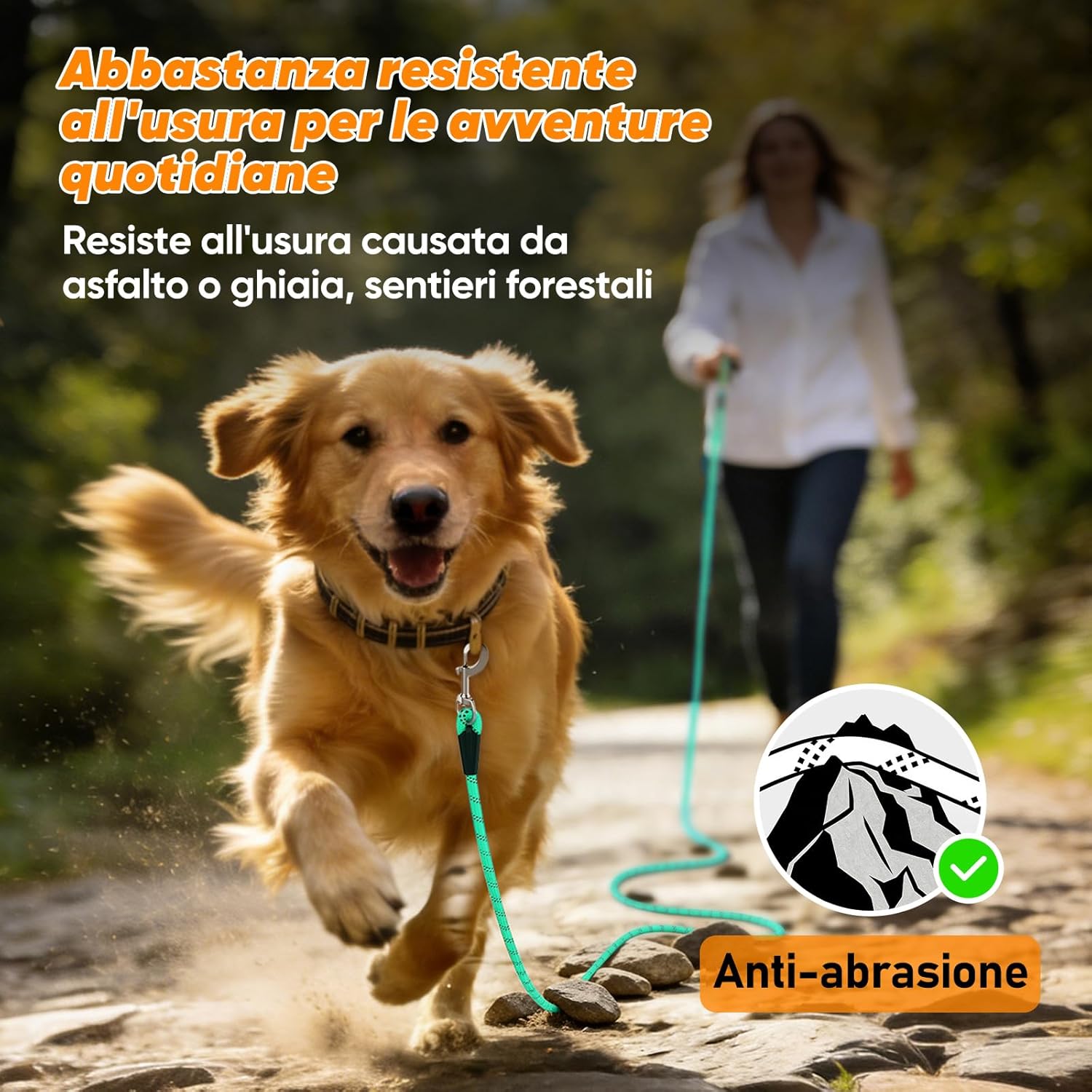 Detalle 2 de Aystkniet Guinzaglio da addestramento per cani con 2 ganci girevoli e filo riflettente, lunghezze 5–30 m
