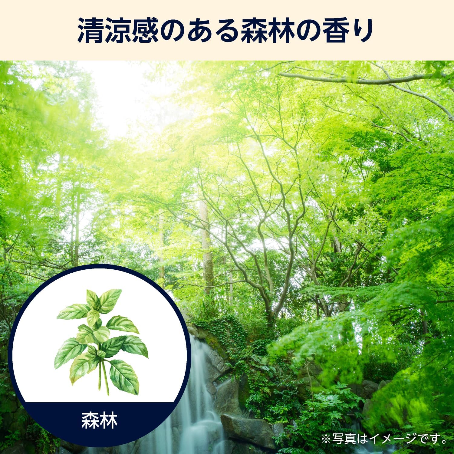 Detalle 1 de by Amazon 薬用入浴剤 森林の香り 600g×2個 有効成分配合・クリアグリーンの湯
