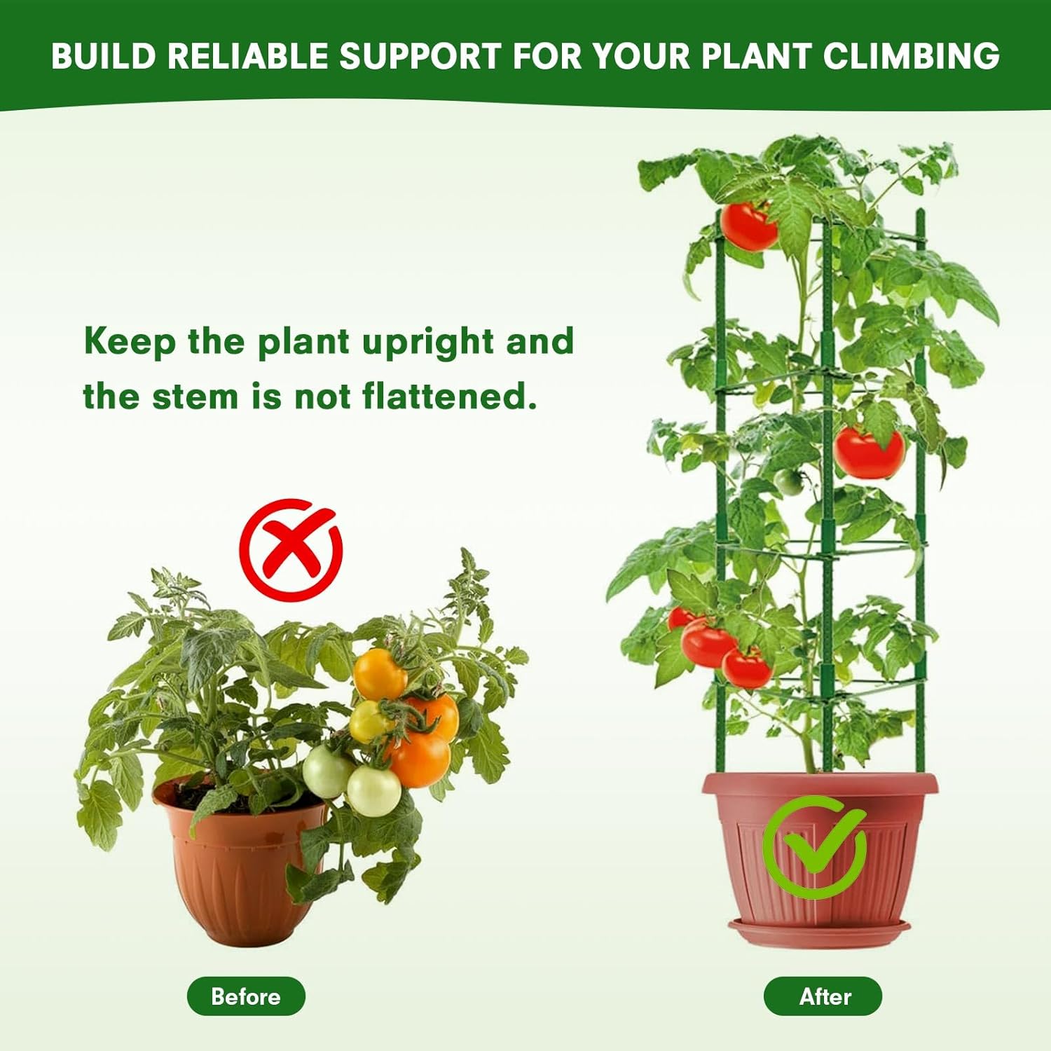 Thumbnail 1 de ZIKEBTUY 6 Stück Tomaten Rankhilfe 120 cm Höhe – Set mit Twist Tie und Clips, Metall Pflanzenhalter für Tomaten, Gurken, Rosen