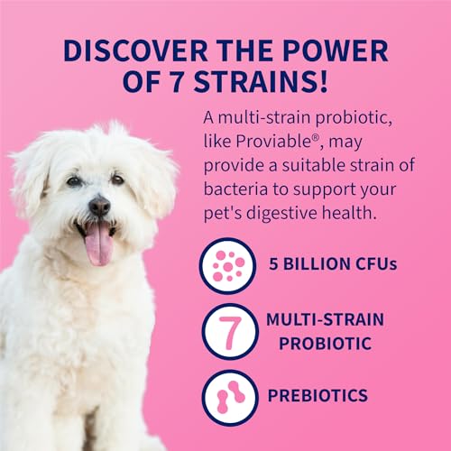 Thumbnail 3 de Nutramax Proviable Probiotics + Prebiotics for Dogs & Cats, 80 Capsules