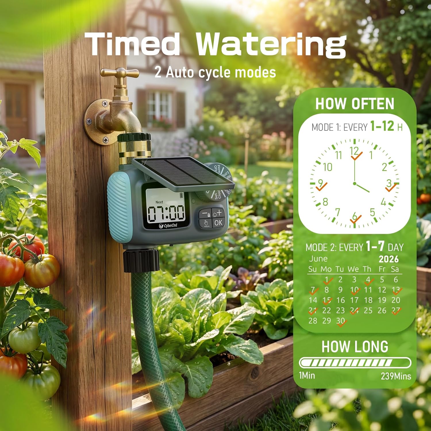 Thumbnail 3 de CyberOrd Timer Irrigazione Solare con ingresso 3/4" in ottone, display LCD e ritardo pioggia