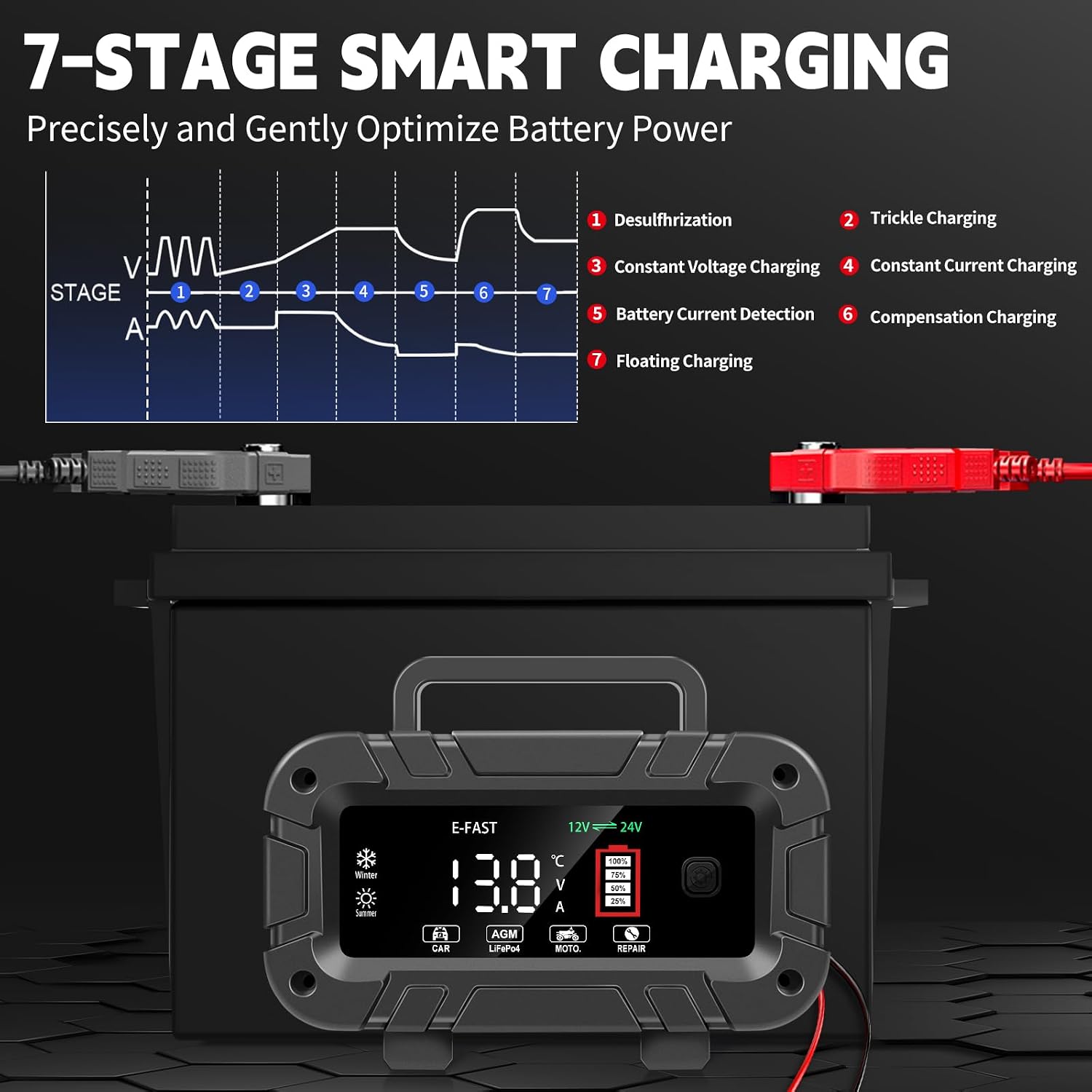 Detalle 2 de E-FAST Battery Charger 12/24V