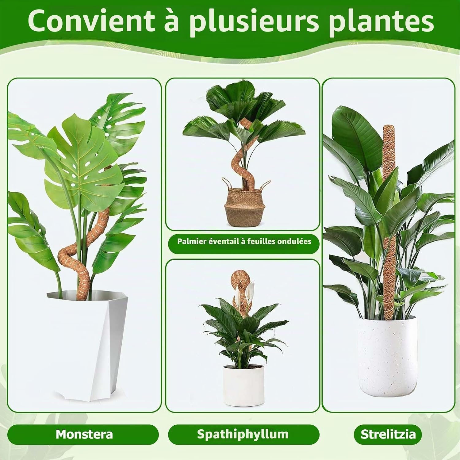 Thumbnail 6 de Yeecka flexibele Monstera-plantenstandaard, set van 2
