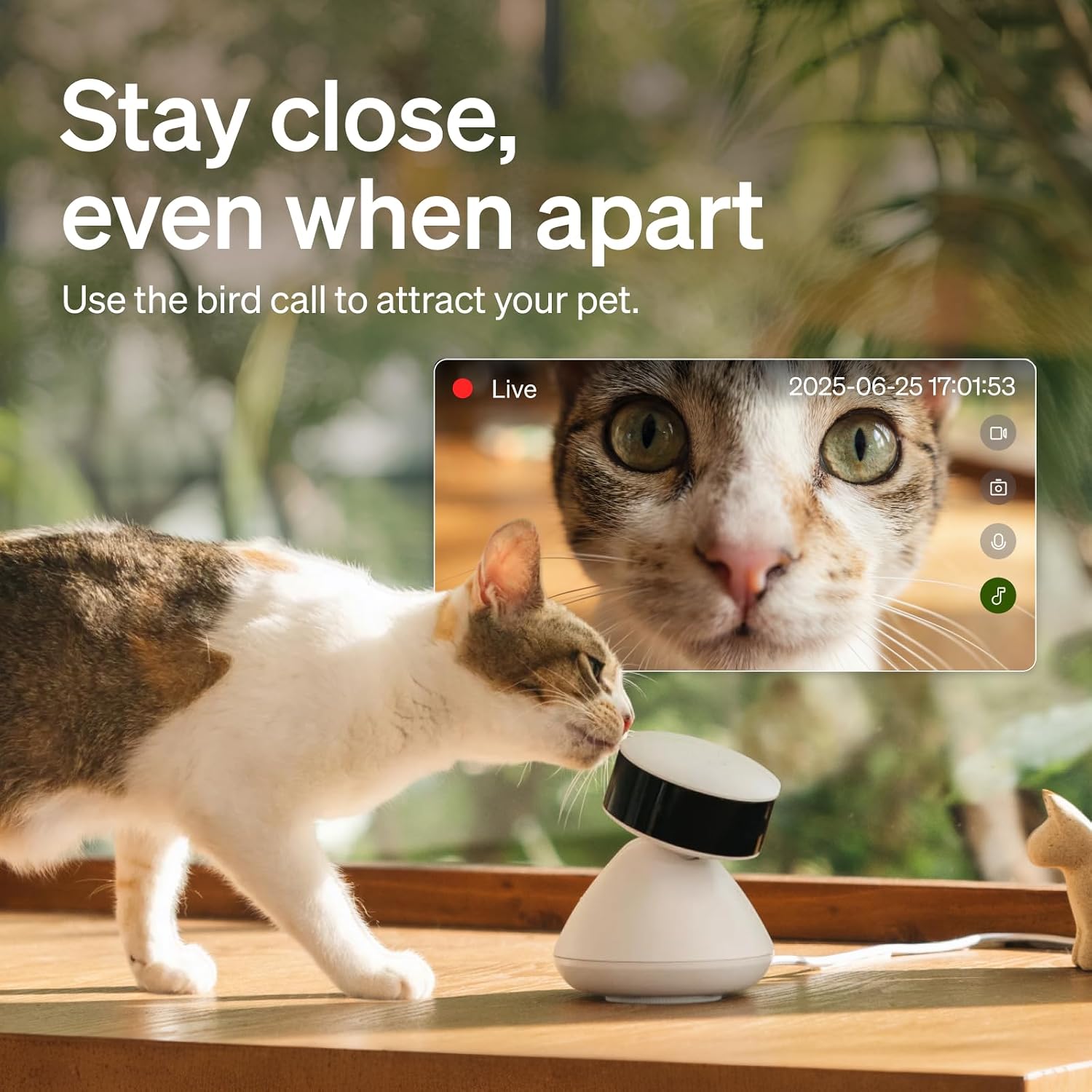 Thumbnail 6 de PETLIBRO Scout AI Pet Camera (1080p Pan/Tilt) with multi-pet recognition, behaviour tracking and 2-way audio