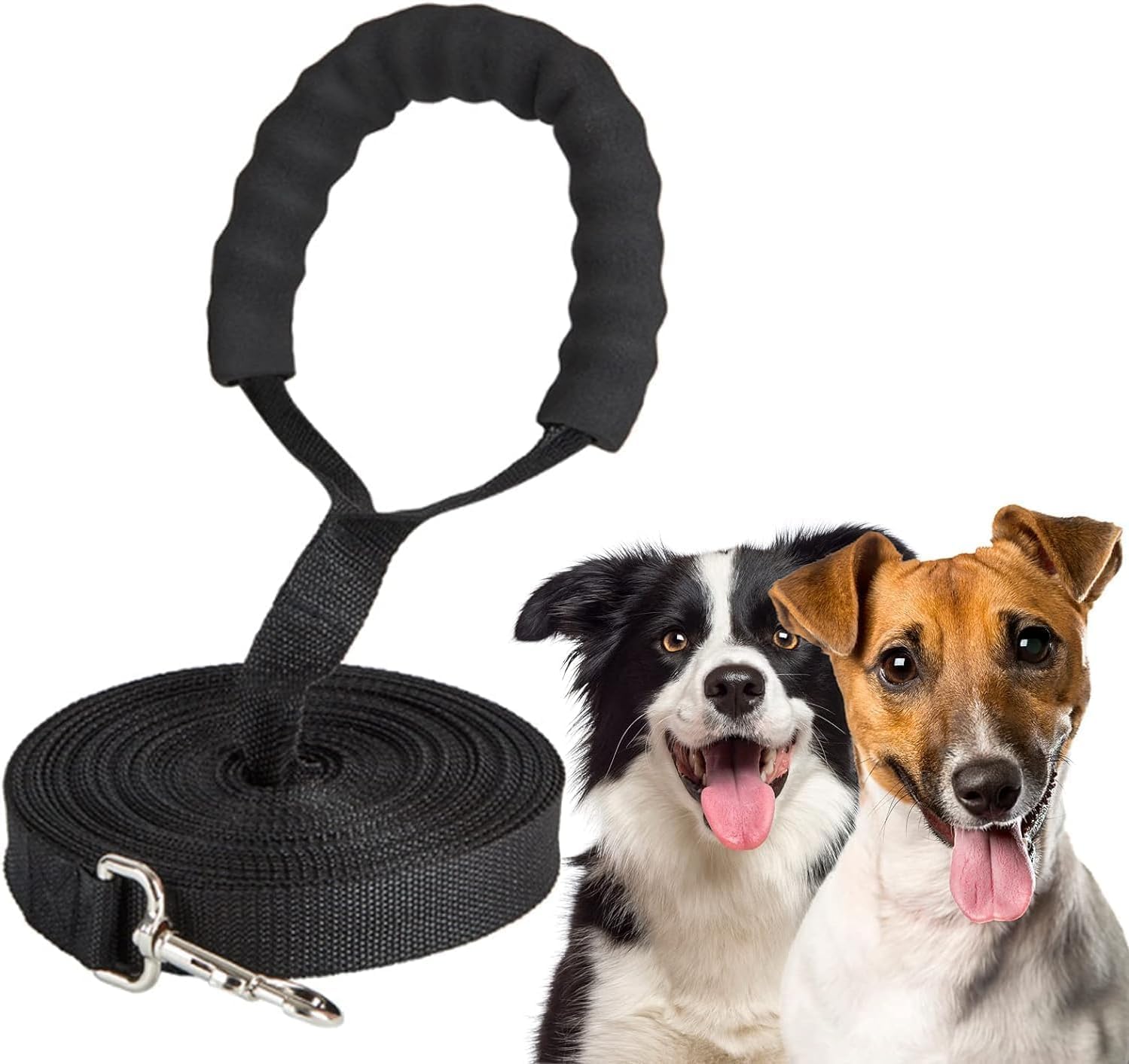 Longe pour chien 10 m d’apprentissage