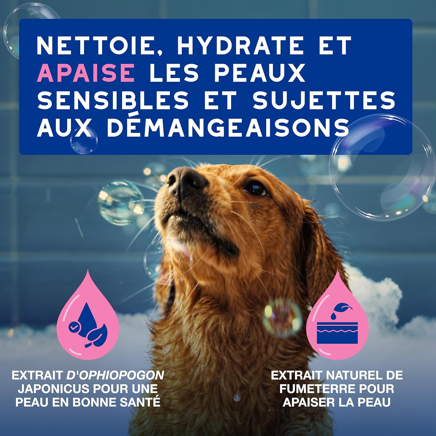 Detalle de Douxo Skin & Coat Spa Shampoing Anti-démangeaisons pour Chien – 250 mL, apaise la peau et laisse le pelage doux