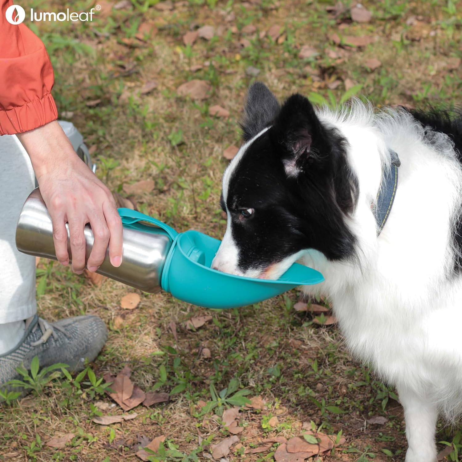 Detalle 2 de LumoLeaf Portable Dog Water Bottle 800ml