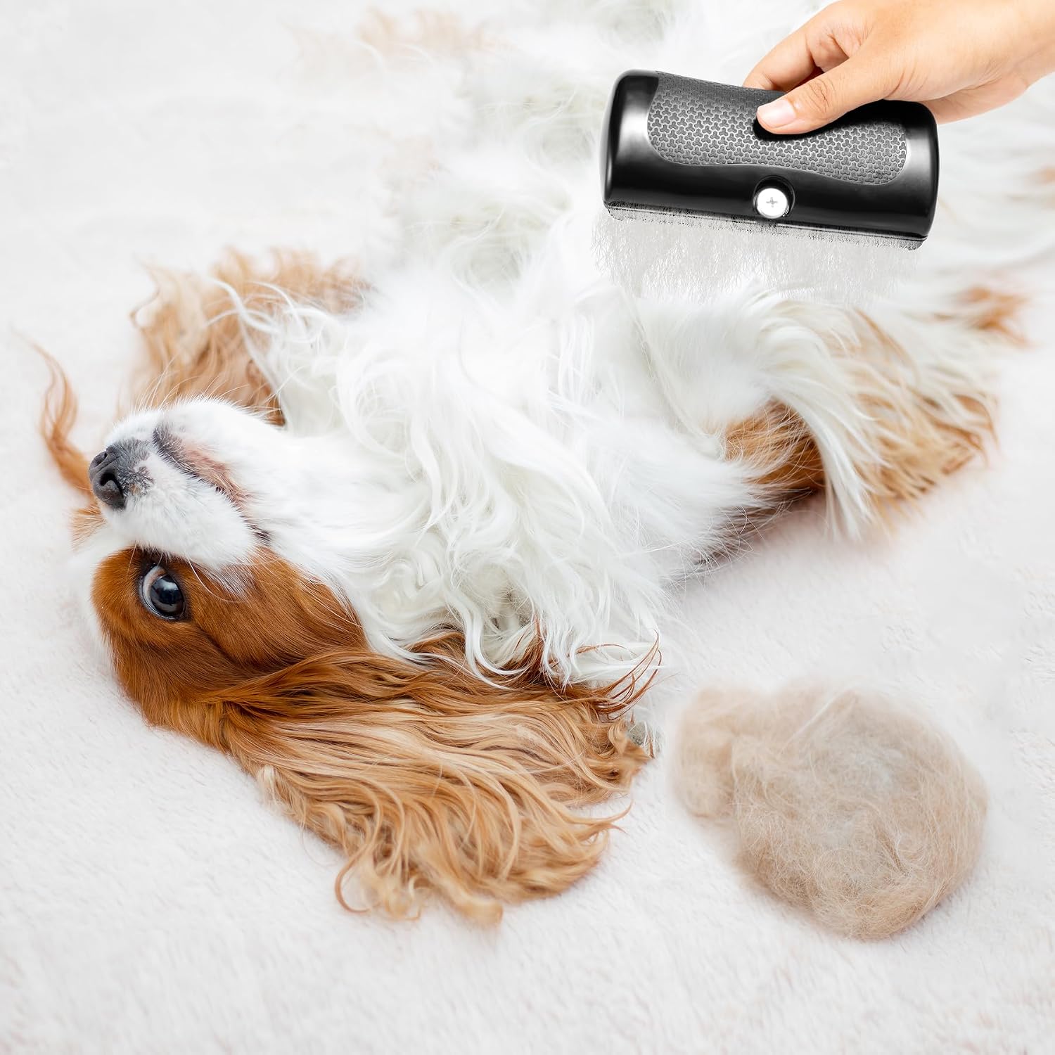 Detalle 2 de YAOZUP Fellwunder Hundebürste 10 cm