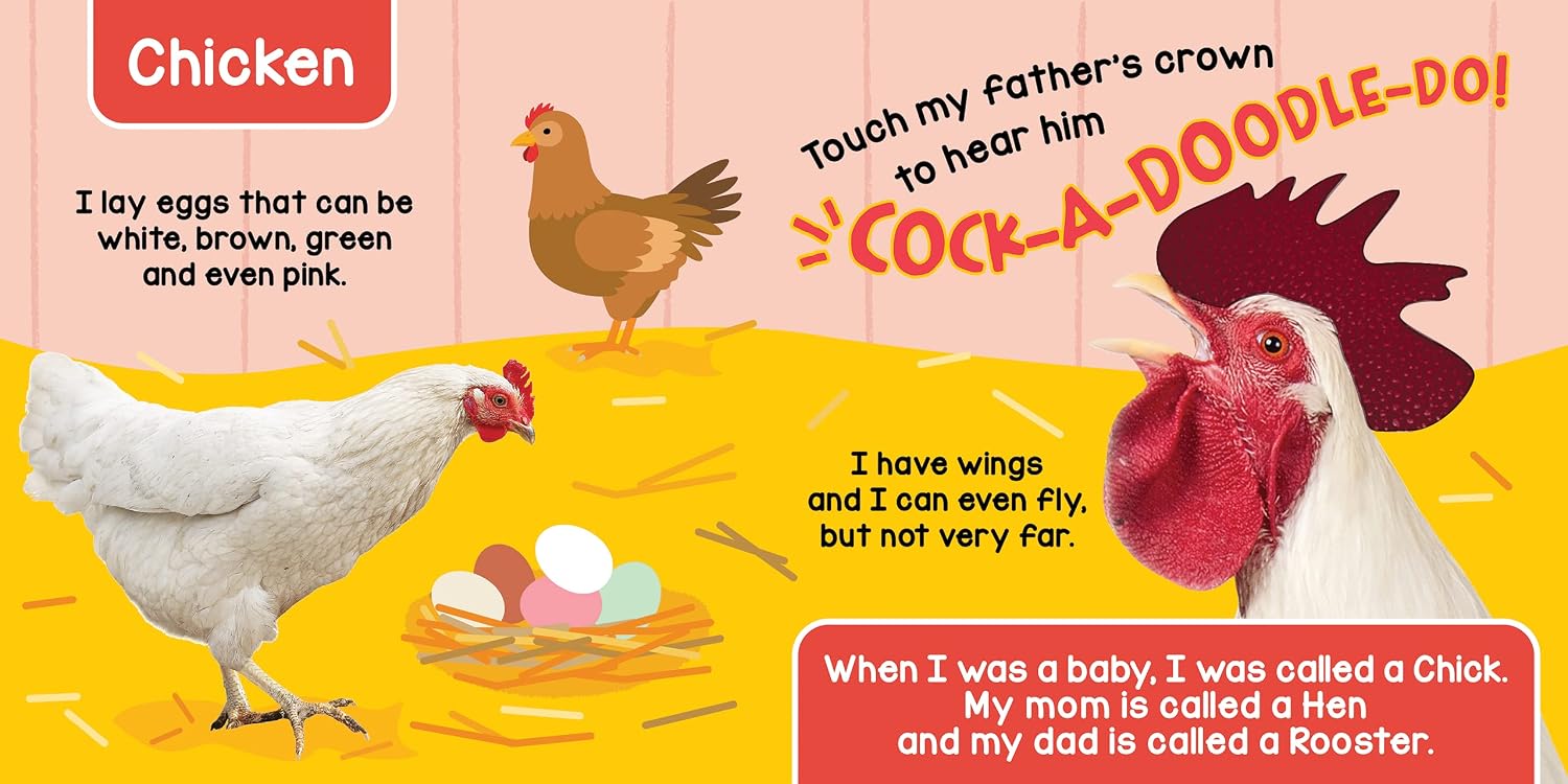 Detalle de Little Hippo Books Farm Animals Touch-and-Feel Sound Book for Babies and Toddlers