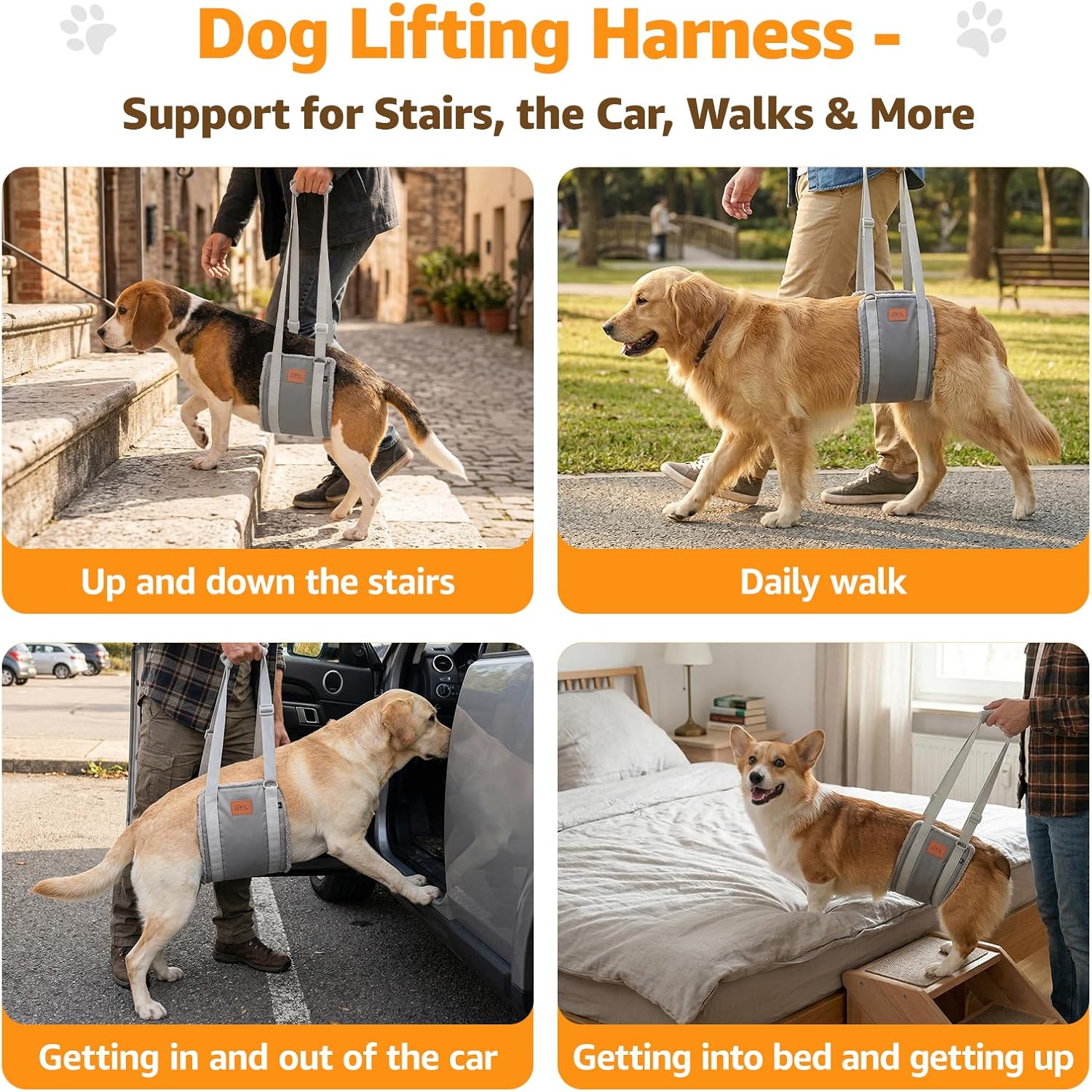 Thumbnail 6 de Adjustable Dog Lifting Harness: Support & Rehab for Weak Rear Legs (Grey, L)