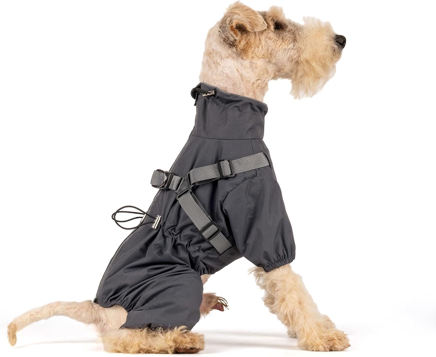 Detalle 2 de Mile High Life Dog Raincoat, Size S