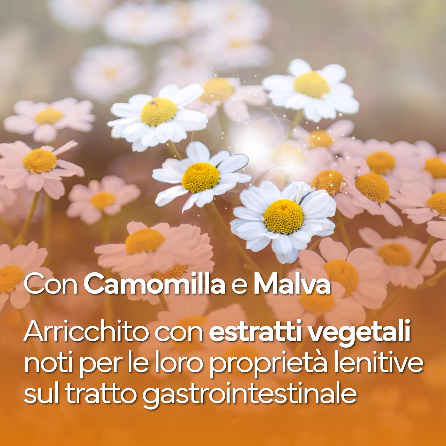 Detalle 2 de PROBIOTICI PER CANI DI ALTA QUALITÀ con Fermenti lattici: supporto digestivo per cani e gatti