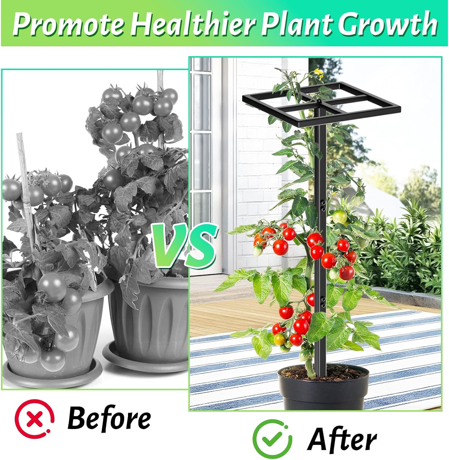 Thumbnail 6 de ODSNANIE Metal Dragon Fruit Trellis, 44" Adjustable Vertical Support